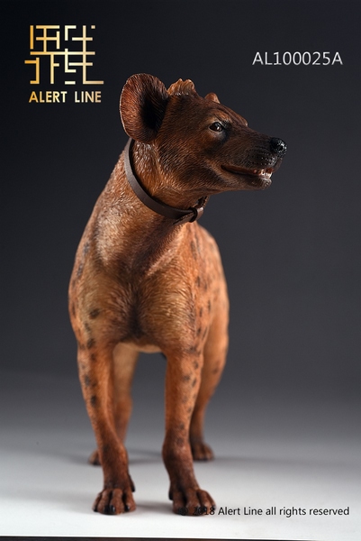 Figurka Brown Spotted Hyena 1/6 Action Figure