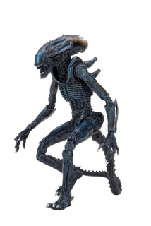 Figurka Arachnoid Alien - Alien vs Predator Action Figure
