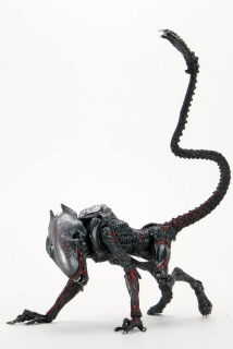 Figurka Night Cougar Alien (Kenner Tribute) - Aliens Action Figure