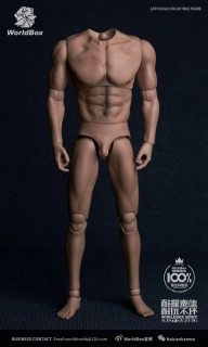 Tělo pro 1/6 figurky Caucasian Male Durable Body
